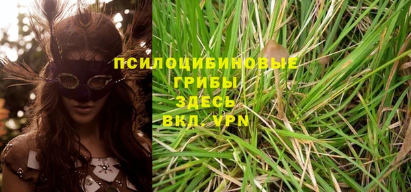 стафф Абдулино