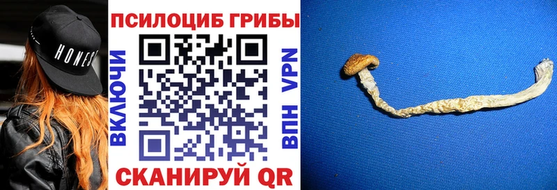 Галлюциногенные грибы прущие грибы  магазин    mega рабочий сайт  даркнет клад  Пудож 